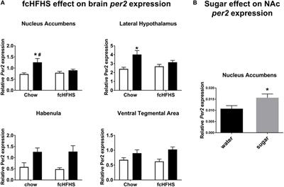 A Free-Choice High-Fat High-Sugar Diet Alters Day–Night Per2 Gene Expression in Reward-Related Brain Areas in Rats